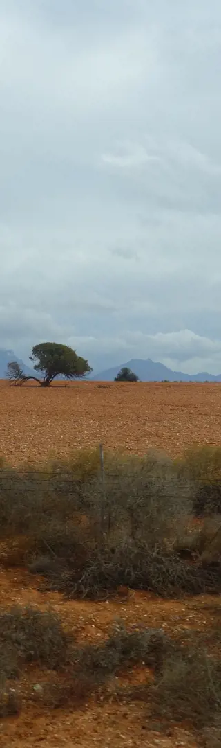 Little Karoo - beeindruckende Halbwüste
